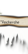 Rechercher