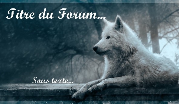 La Guerre des Loups