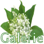 Galerie