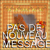 Pas de nouveaux messages