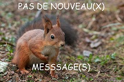 Pas de nouveaux messages