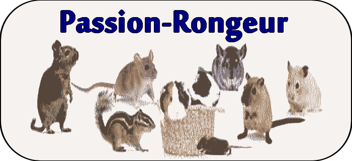 Passion rongeur