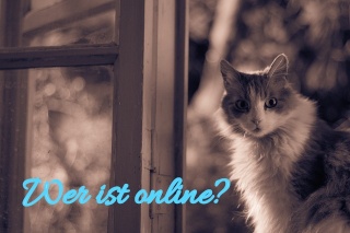 Wer ist online?