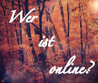 Wer ist online?