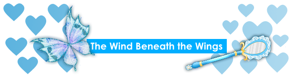 WCC Support