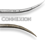 Connexion