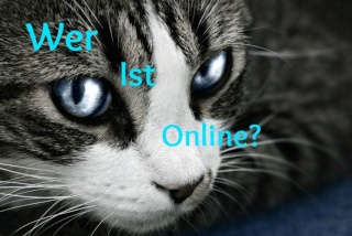 Wer ist online?