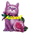 Accueil