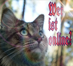 Wer ist online?