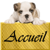 Accueil