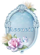 Accueil