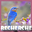 Rechercher