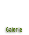 Galerie