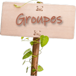 Groupes