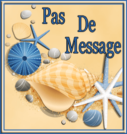 Pas de nouveaux messages