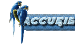 Accueil