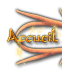 Accueil