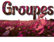 Groupes