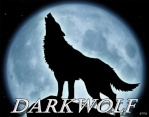 DarkWolf