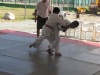 Criterium Judo Guadeloupe / St Barth / St Martin Ju_410