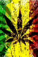 CannaBiis