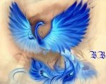 Blue_Bird