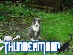 ThunderMoon