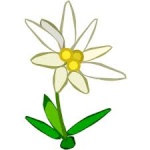 Edelweiss