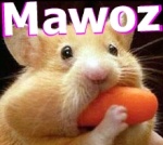 Mawoz