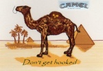 CamelCigars