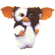 DarkGizmo