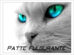 Patte Fulgurante