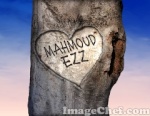 mahmoud ezz