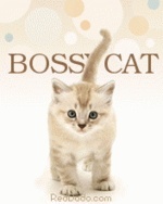 BOSSYCAT