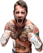 CM Punk