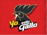 gallo