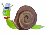 caracol