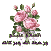 الشهادات 608155