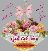 غـَــزّة َهــاشـِــم  538102128