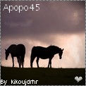 Apopo45