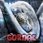 Gornak