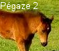 Pégaze 2