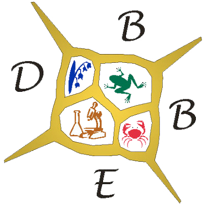 DBBE - Departamento de Biodiversidad y Biología Experimental