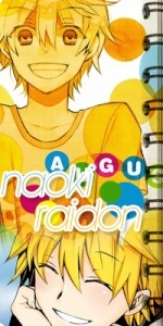 Naoki Raidon