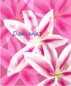 damane1