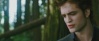 http://booksandmovies.twilightlegend.net/movies-f7/twilight-best-quality-only-2-parts-t123.htm#205