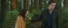 http://booksandmovies.twilightlegend.net/movies-f7/twilight-best-quality-only-2-parts-t123.htm#205