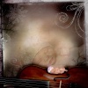 Violin Secret  by Marta Designs
http://www.afterfivedesigns.com/shoppe/product.php?productid=2526&cat=1
