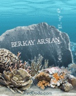 Berkay Arslan