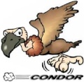 condor